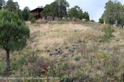 Property at 409 Flume Canyon Drive, 