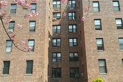Co-op at 37-27 86th Street,