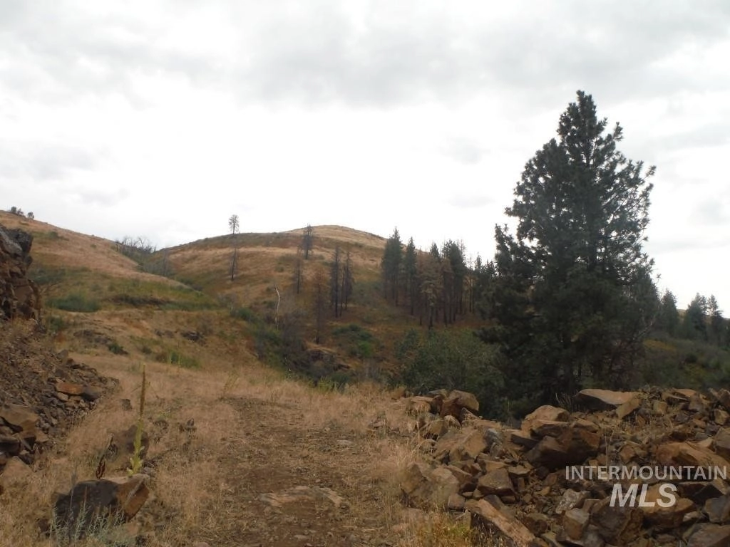 Photo of Lot 2 Middle Fork Rd