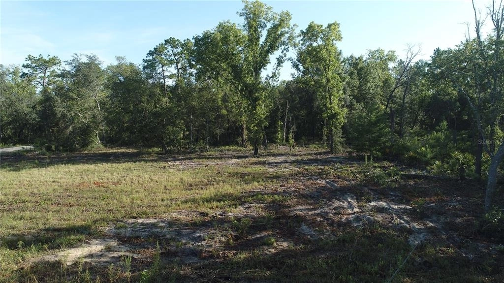 Photo of Lot 08 Guava Place PASS