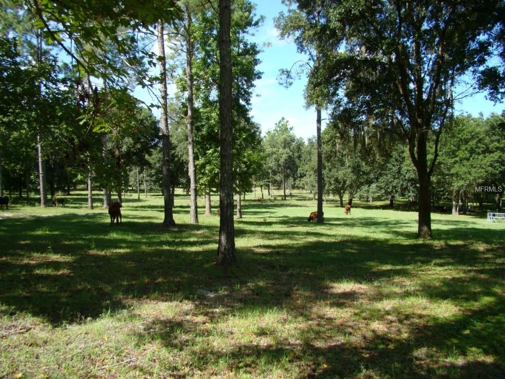 Photo of Lot #3 MEADOW BLUFF VIEW