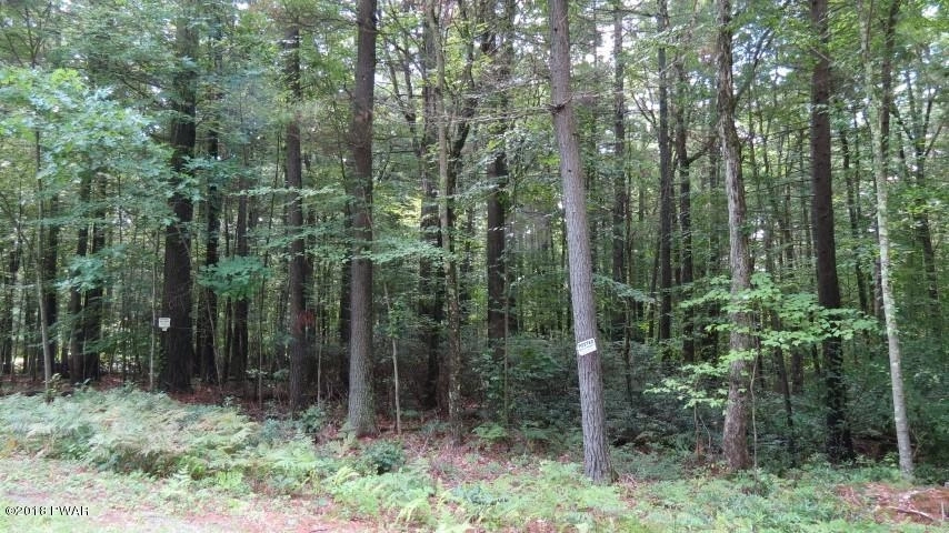 Photo of Lot #8 Perry Pond