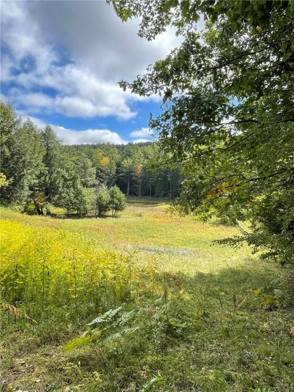 Photo of 4456 Parker Hollow Road