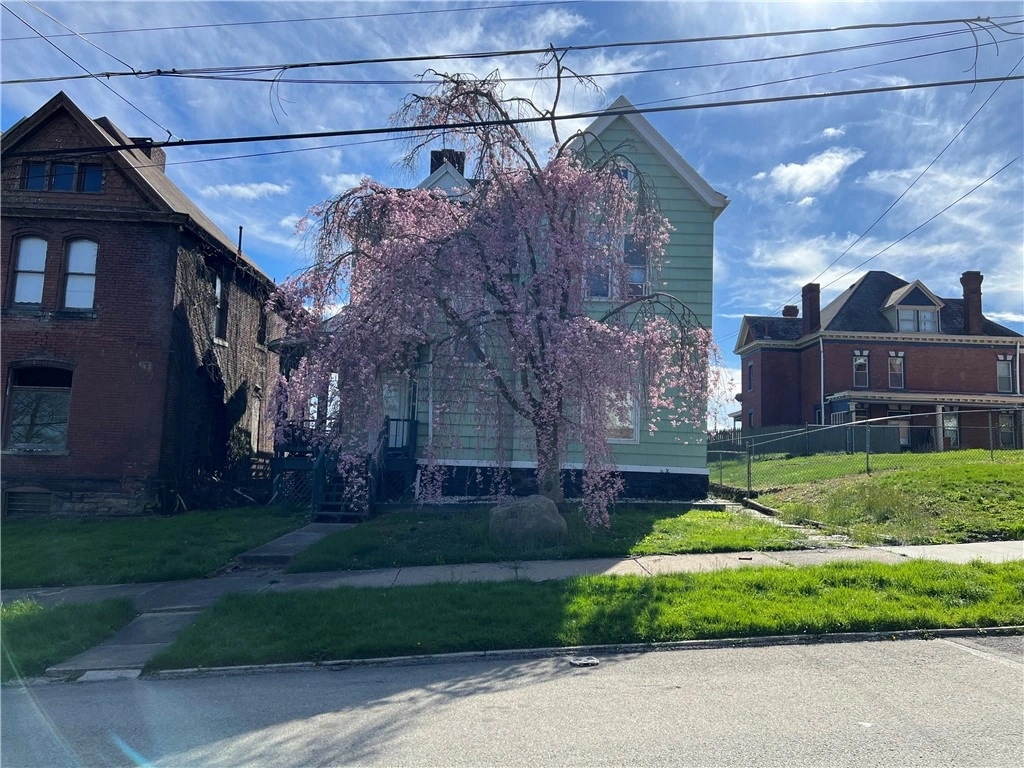 Photo of 35 Ben Lomond