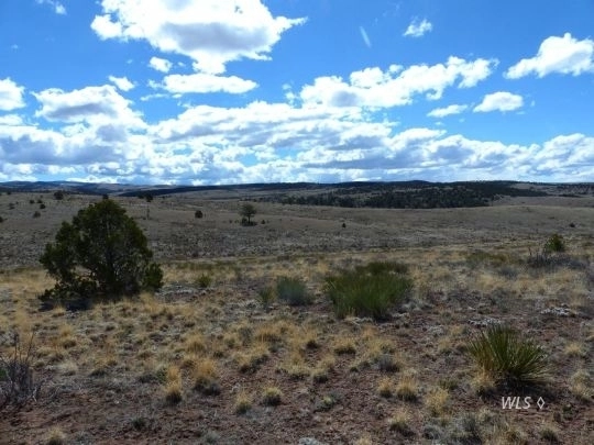 Photo of 114 Navajo Path