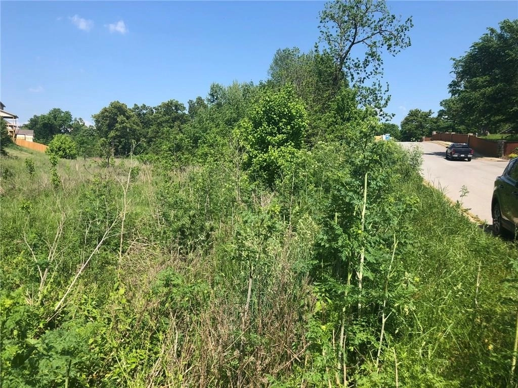 Photo of Lot 120  W Brown  RD