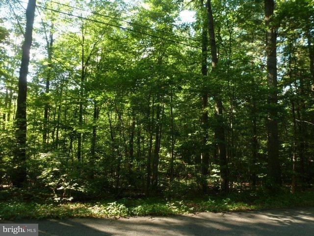 Photo of LOT 3 MILLER ROAD