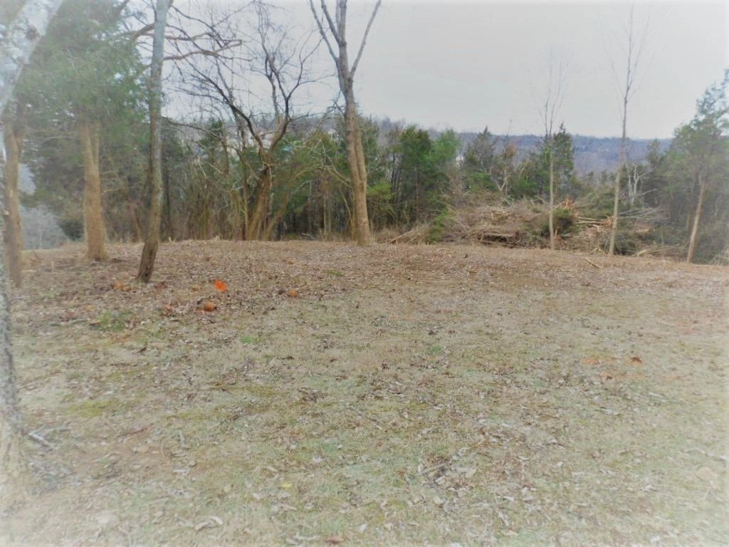 Photo of 256-Lot 9 Crown Point Drive