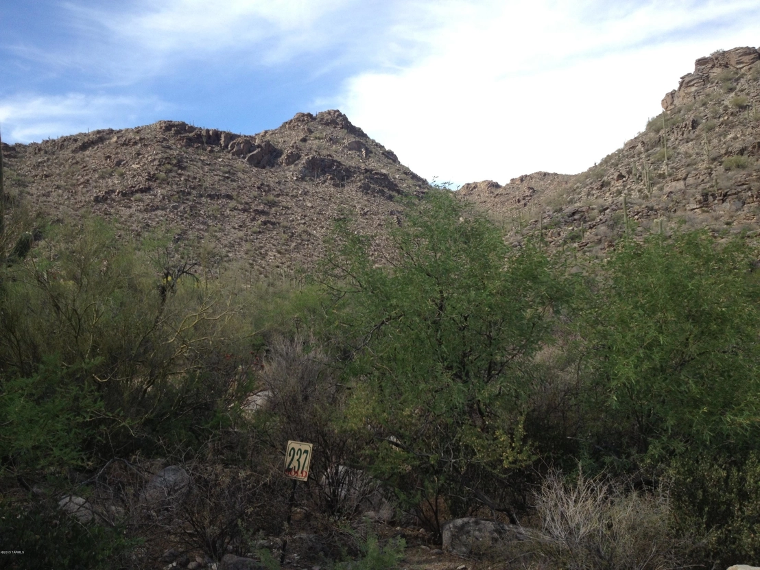 Photo of Unit 237 at 13769 N Cactus Valley Court