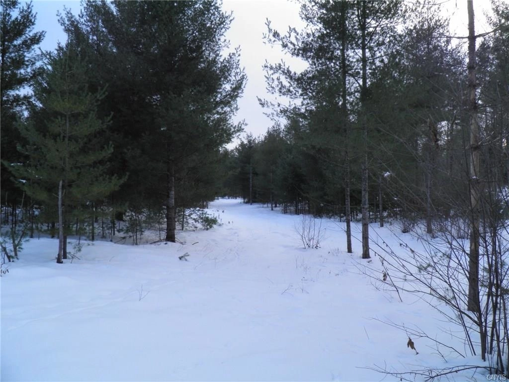 Photo of 7427 Town Line Road