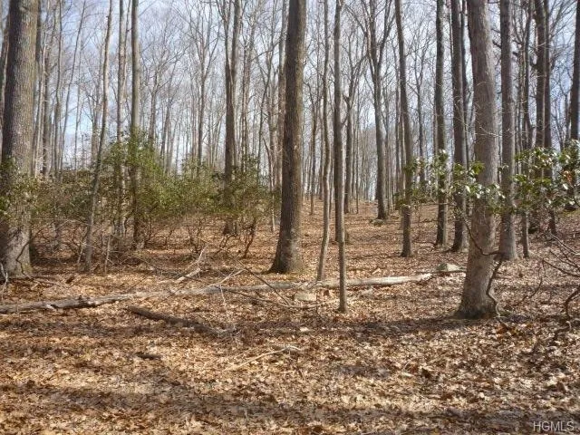 Photo of 1310 Route 35, Lot 2