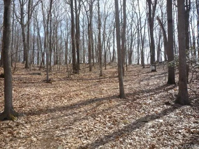 Photo of 1310 Route 35, Lot 2