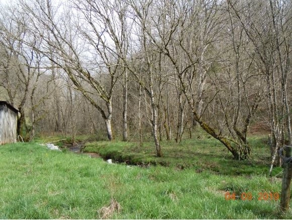 Photo of 5589 Lower Copper Creek Road