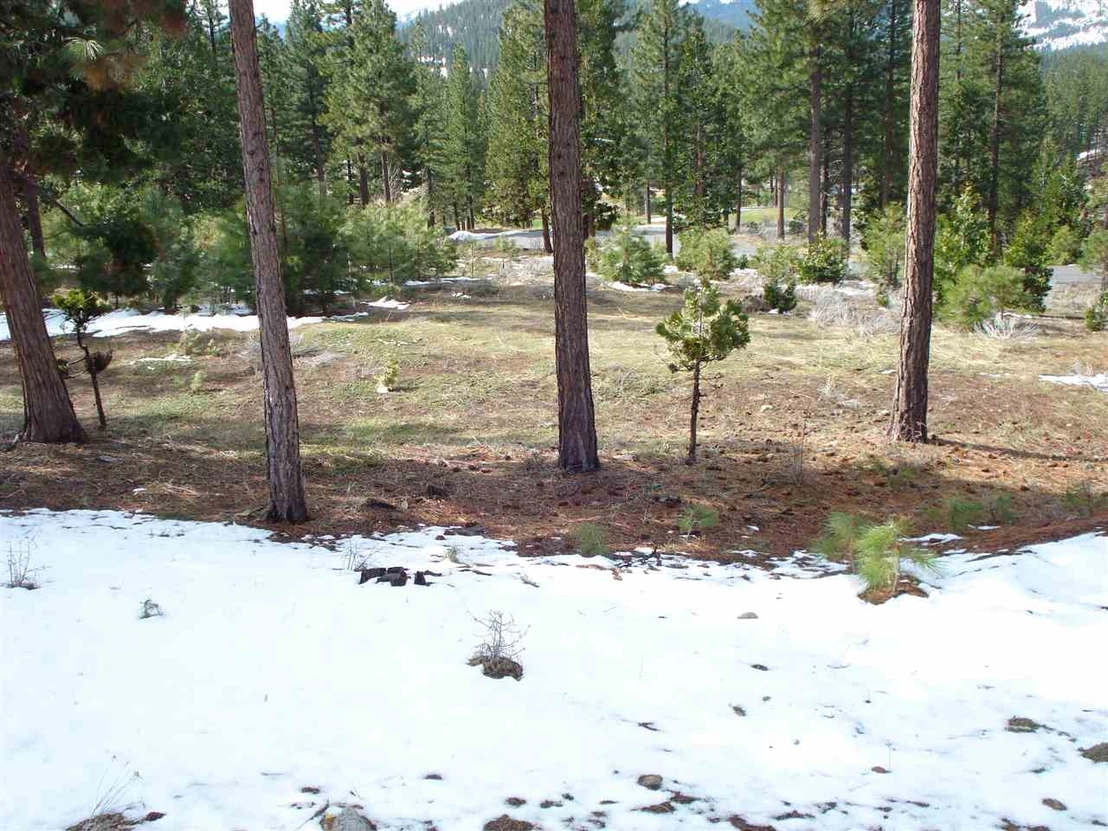 Photo of 486 Grizzly Ranch Road