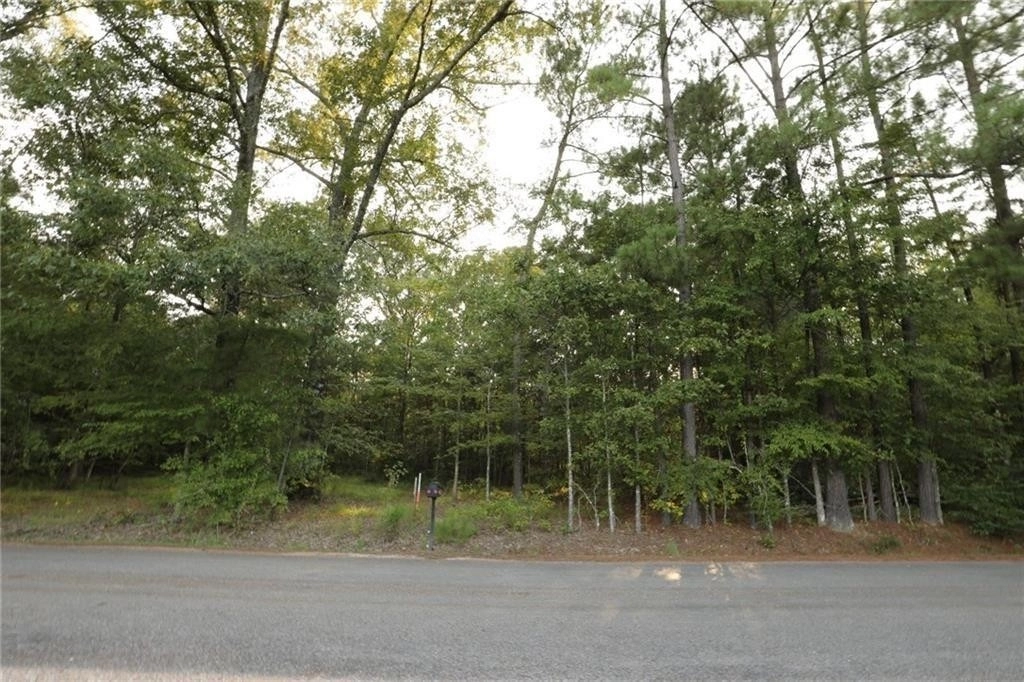 Photo of 0 Hickory Grove Loop Lot 3 ROAD