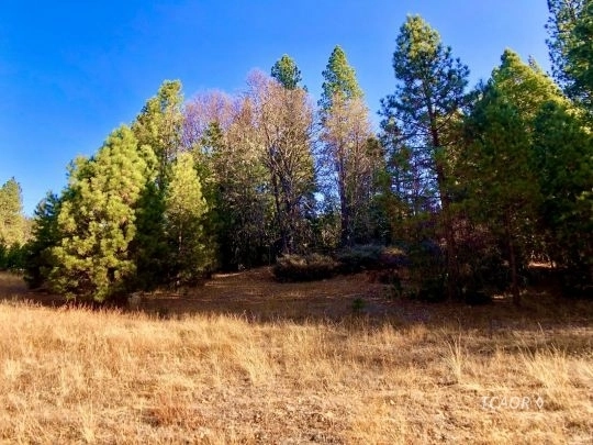 Photo of 311 Wildwood Ranch