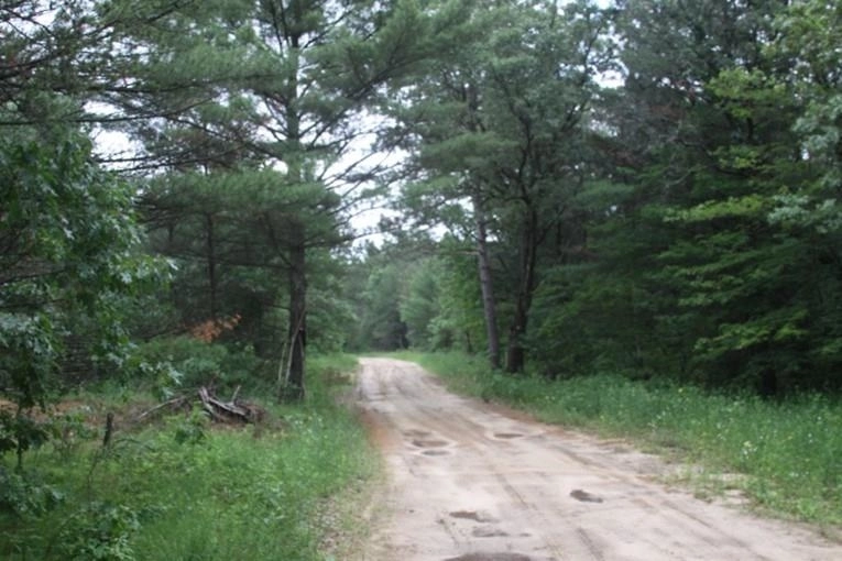 Photo of 0 Bear Road