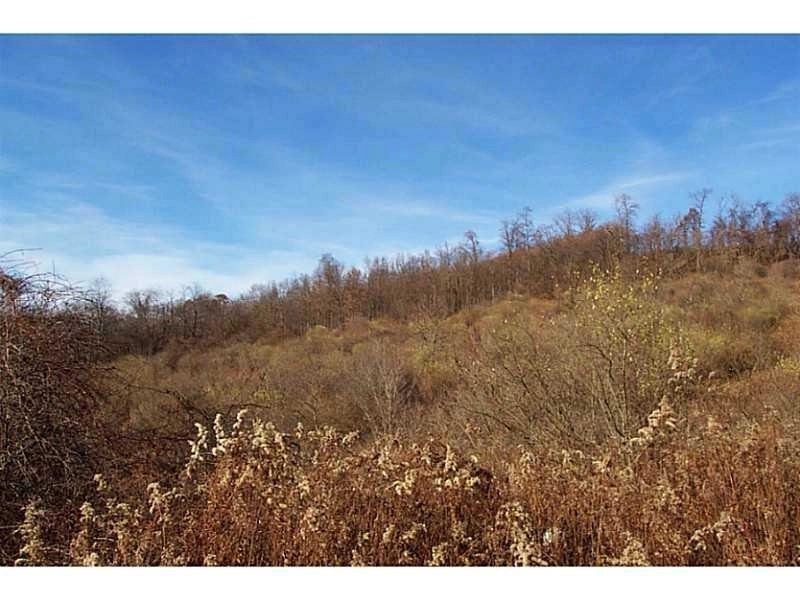 Photo of Lot #1 5400 CLINE HOLLOW RD