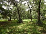 Thumbnail Photo of 35 Rose Dhu Creek Plantation Dr