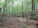Thumbnail Photo of 42 AC Coon Hollow Rd