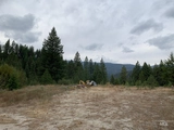 Thumbnail Photo of 2 Primitive Area at Pine Tree Ranch