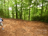 Thumbnail Photo of Unit LOT113C at 3673 Drum Campground Road