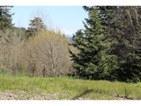 Thumbnail Photo of 3533 Hoodview Drive, Forest Grove, OR 97116