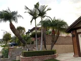Thumbnail Photo of 1339 Willow Bud Drive