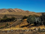 Thumbnail Photo of 470 Roza View Drive, Yakima, WA 98901