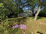 Thumbnail Photo of 2209 Penfield Road