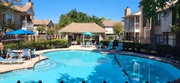 Thumbnail Outdoor, Pool at Unit 501 at 10615 Briar Forest Drive