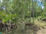 Thumbnail Photo of Lot 17 Orchid Drive