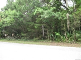 Thumbnail Photo of 16 Palm Point Drive, Inglis, FL 34449