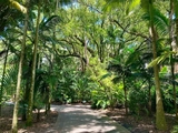 Thumbnail Photo of 1800 Palm LANE