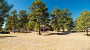 Thumbnail Photo of 17375 Forest Green Way