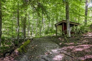 Thumbnail Photo of 30 Hermit Woods Road