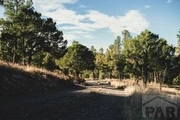 Thumbnail Photo of 33233 Fox Trail