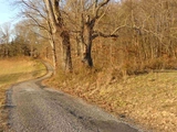 Thumbnail Photo of 516 County House Road