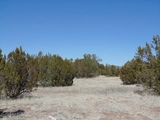 Thumbnail Photo of Unit 1314 at 36600 W Peaceful View Trail