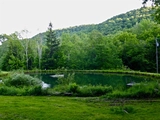 Thumbnail Photo of 3140 Wolfhollow Road