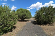 Thumbnail Photo of 27 Uphill Trail, Concho, AZ 85924