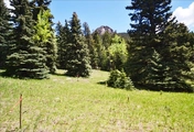 Thumbnail Photo of Lot 14 Witter Gulch Road