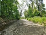 Thumbnail Photo of 00 State Route 415