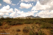 Thumbnail Photo of 11003 North Legend Trail, Elfrida, AZ 85610