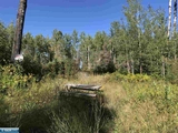 Thumbnail Photo of 2371 Gold Mine Road, Ely, MN 55731