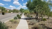 Thumbnail Photo of 1956 West Yellow Bird Lane, Phoenix, AZ 85085