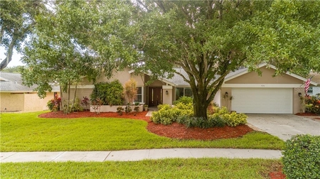 426 Winding Willow Dr, Palm Harbor, FL