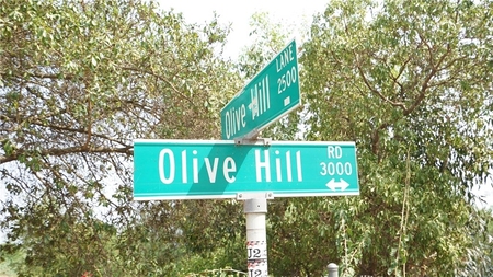 3000 Olive Hill Rd, Fallbrook, CA