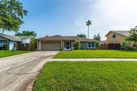 2829 Witley Ave, Palm Harbor, FL
