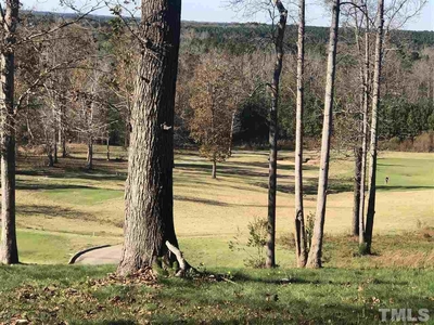 41 Golfers Vw, Pittsboro, NC